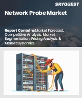 Global Network Probe Market