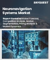 Global Neuronavigation Systems Market