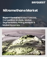 Global Nitromethane Market