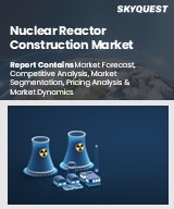 Global Nuclear Reactor Construction Market