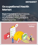 Global Occupational Health Market