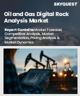 Global Oil and Gas Digital Rock Analysis Market