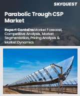 Global Parabolic Trough CSP Market