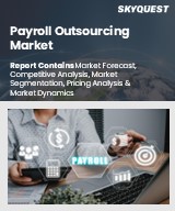 Global Payroll Outsourcing Market