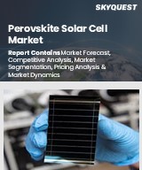 Global Perovskite Solar Cell Market