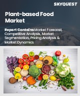 Global Plant-Based Food Market