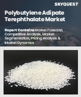 Global Polybutylene Adipate Terephthalate Market
