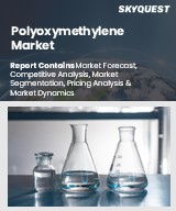 Global Polyoxymethylene Market
