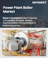 Global Power Plant Boiler Market