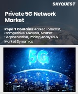 Global Private 5G Network Market