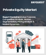 Global Private Equity Market