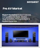 Global Pro AV Market