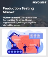 Global Production Testing Market
