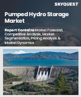 Global Pumped Hydro Storage Market