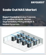 Global Scale Out NAS Market