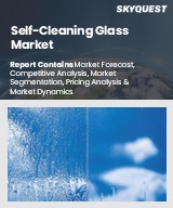 Self-Cleaning Glass Market
