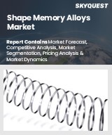 Global Shape Memory Alloys Market