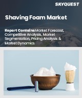 Global Shaving Foam Market