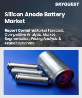 Global Silicon Anode Battery Market