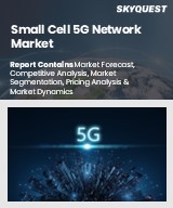 Global Small Cell 5G Network Market