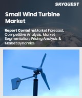 Global Small Wind Turbine Market