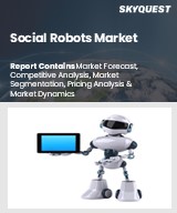 Global Social Robots Market