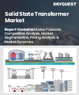 Global Solid State Transformer Market