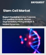 Global stem cell market