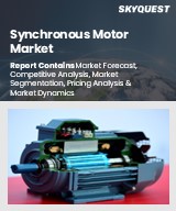 Global Synchronous Motor Market