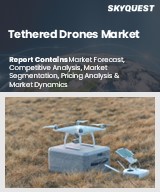 Global Tethered Drones Market