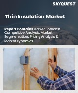 Global Thin Insulation Market