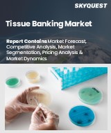 Global Tissue Banking Market