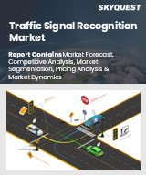 Global Traffic Signal Recognition Market