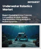 Global Underwater Robotics Market