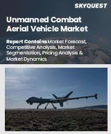 Global Unmanned Combat Aerial Vehicle Market