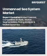 Unmanned Sea System Market