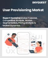 Global User Provisioning Market