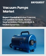 Global Vacuum Pumps Market