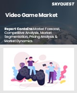 Global Video Game Market