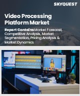 Global Video Processing Platform Market