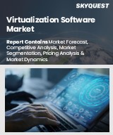 Global Virtualization Software Market