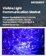 Global Visible Light Communication Market