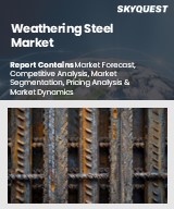 Global Weathering Steel Market
