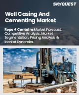Well Casing and Cementing Market