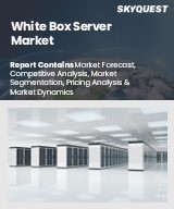 Global White Box Server Market