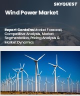 Global Wind Power Market