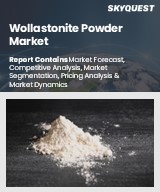 Global Wollastonite Powder Market