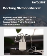 Global Docking Station Market
