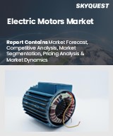 Global Electric Motor Market