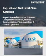 Global Liquified Natural Gas Market
